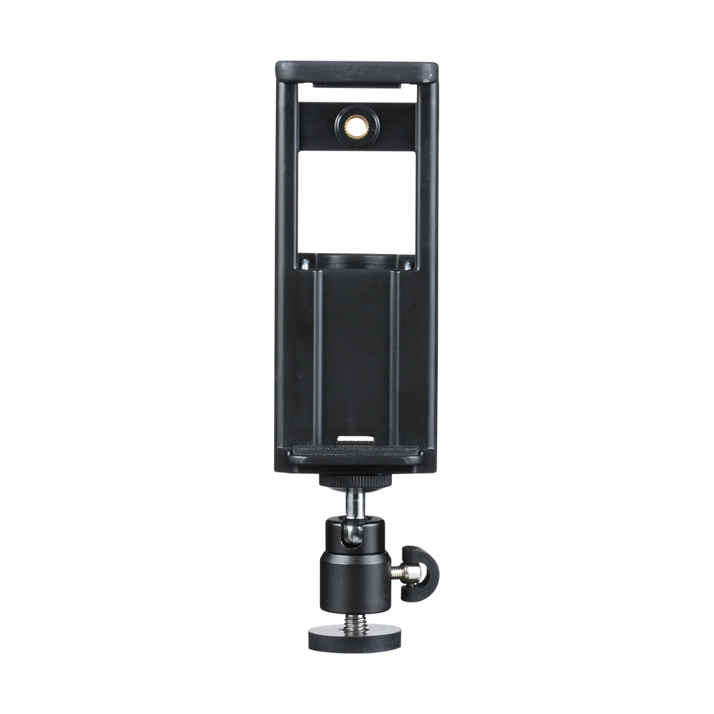 Mountable cell phone holder